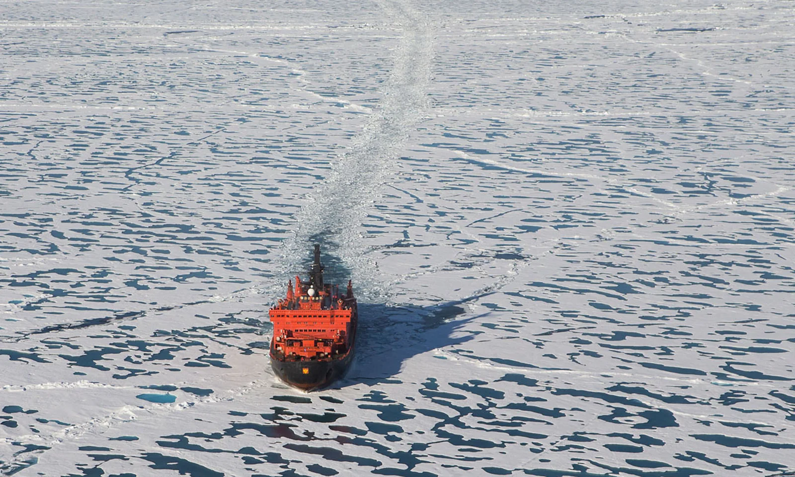 A-50yearsofvictory-poseidonexpeditions-laurenfarmer-3