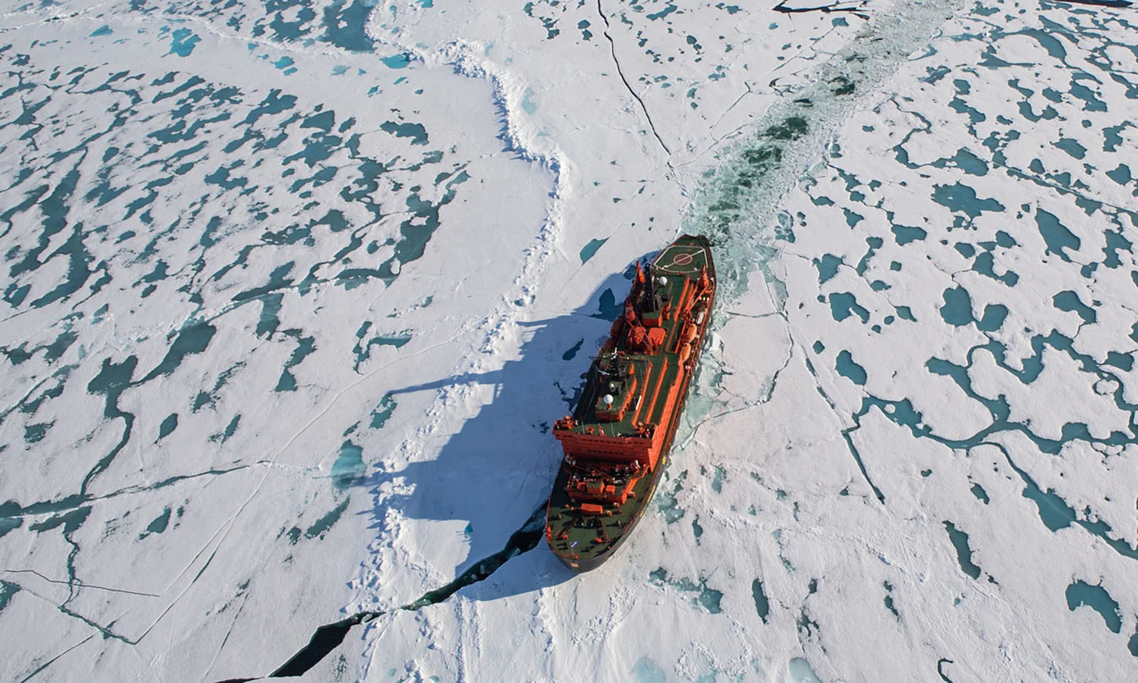 A-50yearsofvictory-poseidonexpeditions-laurenfarmer-4