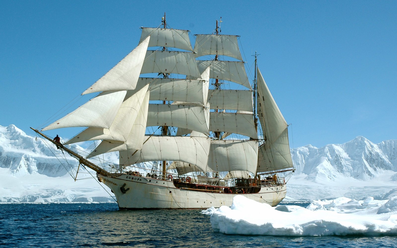 barkeuropa-1