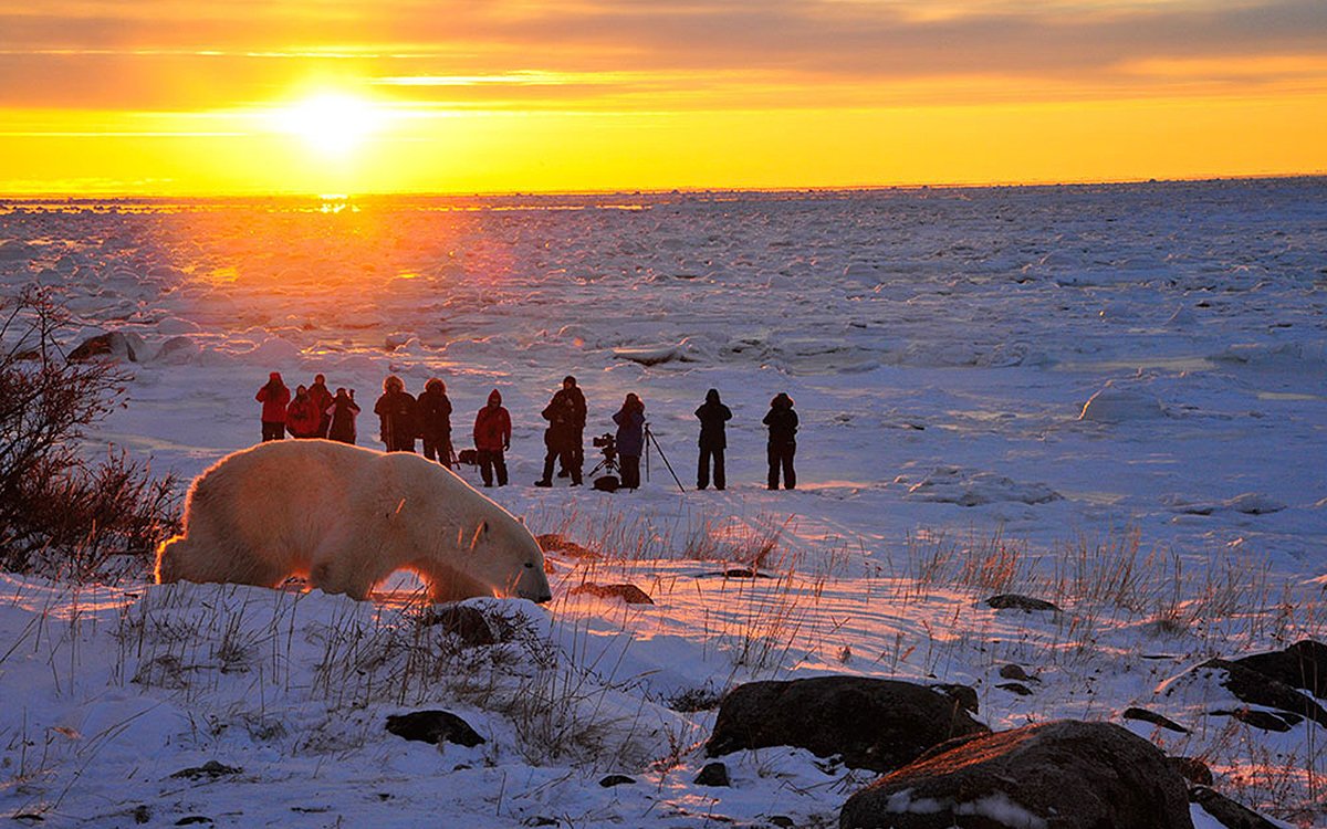 churchillherbst-churchillwildpolarbeartours-7 (1)