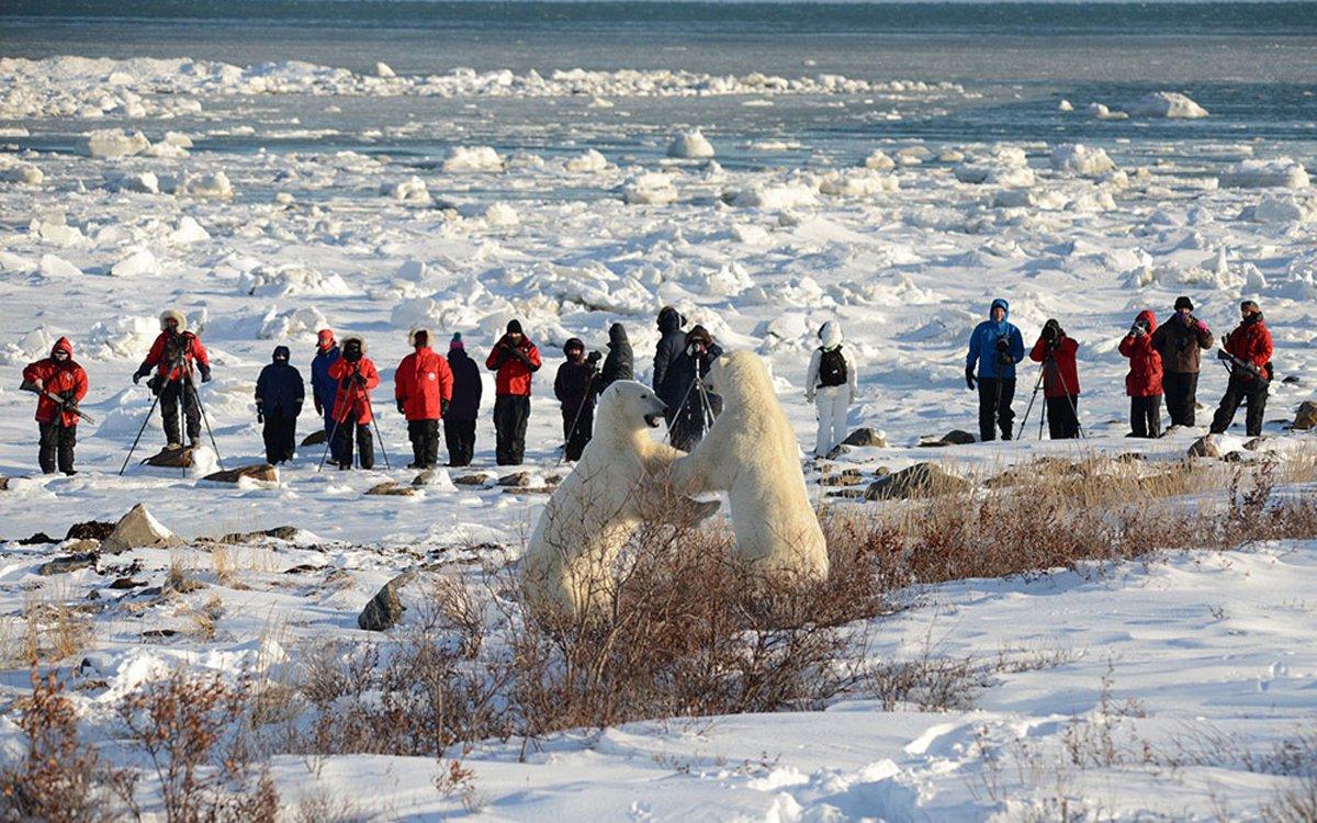 churchillherbst-churchillwildpolarbeartours-8