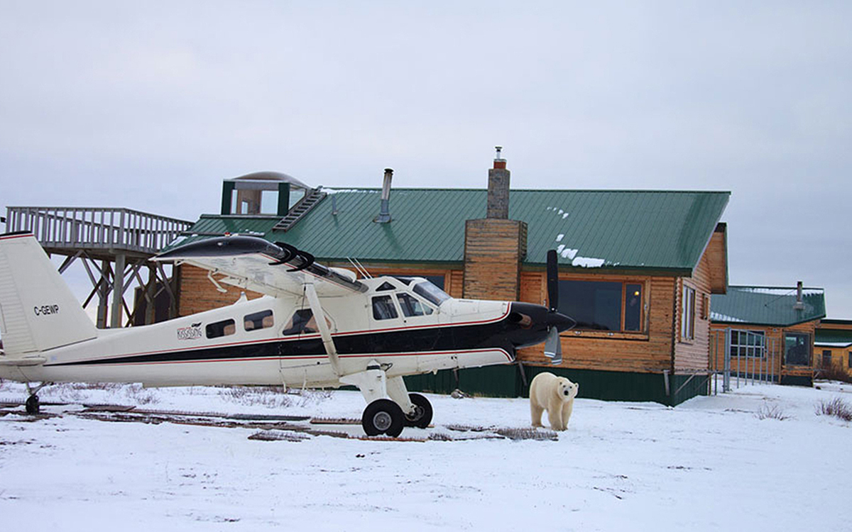 churchillherbst-churchillwildpolarbeartours-titeldymondlakeecolodge-5