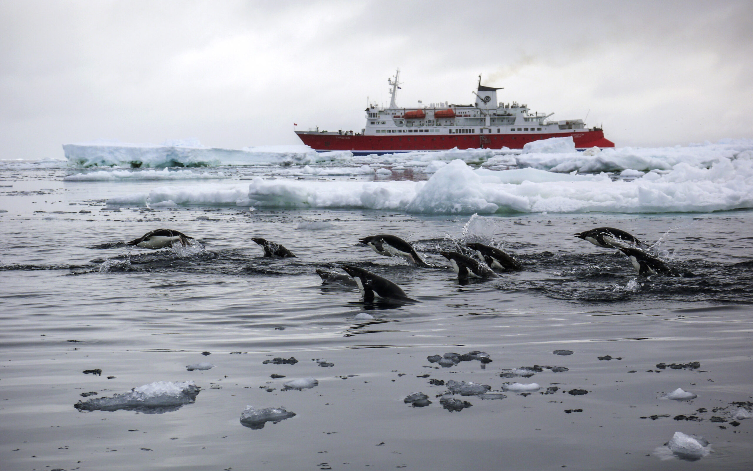 expedition-Daniel-Sendecki-5