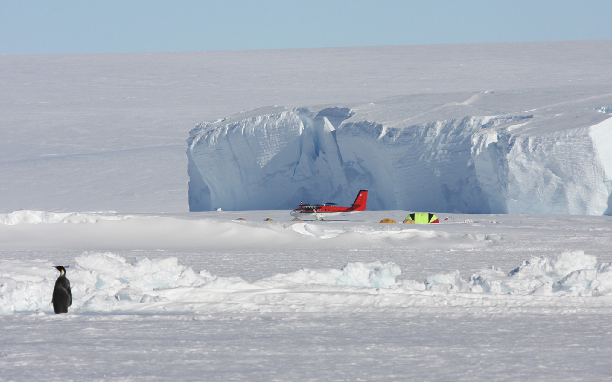 innereantarktis-kaiserpinguineexchile-antarcticlogisticsandexpeditions-igorrechitsky-davidrootes-7