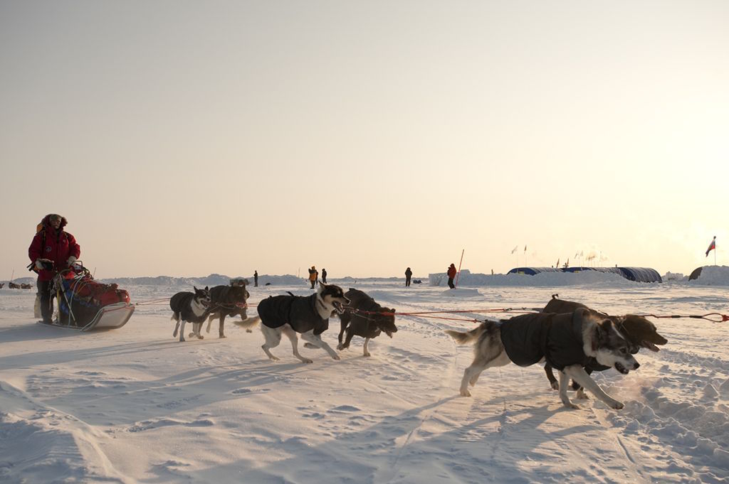 nordpolperhundeschlittenexmurmansk-specialtravelclub-4