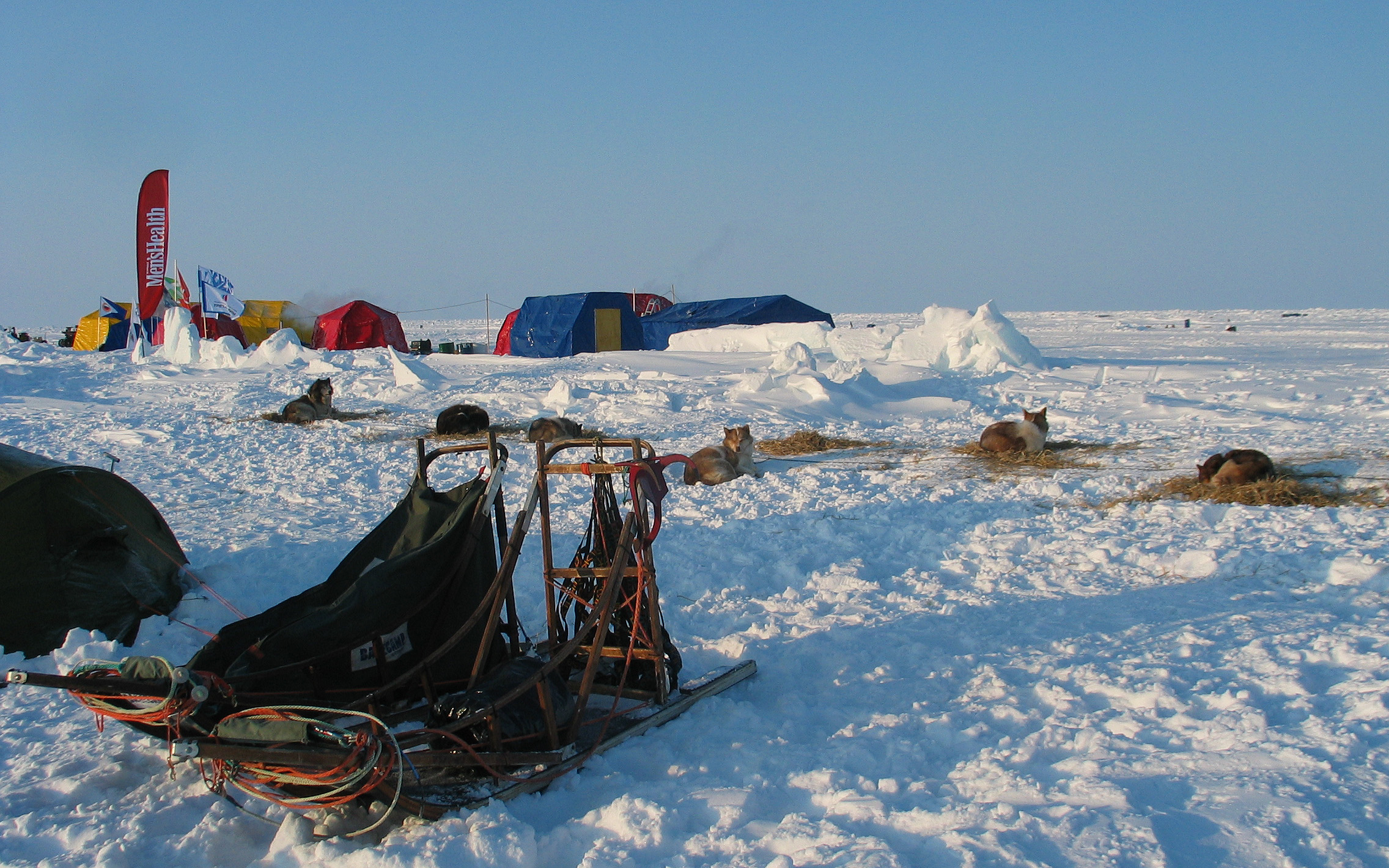 nordpolperhundeschlittenexmurmansk-specialtravelclub-S-3