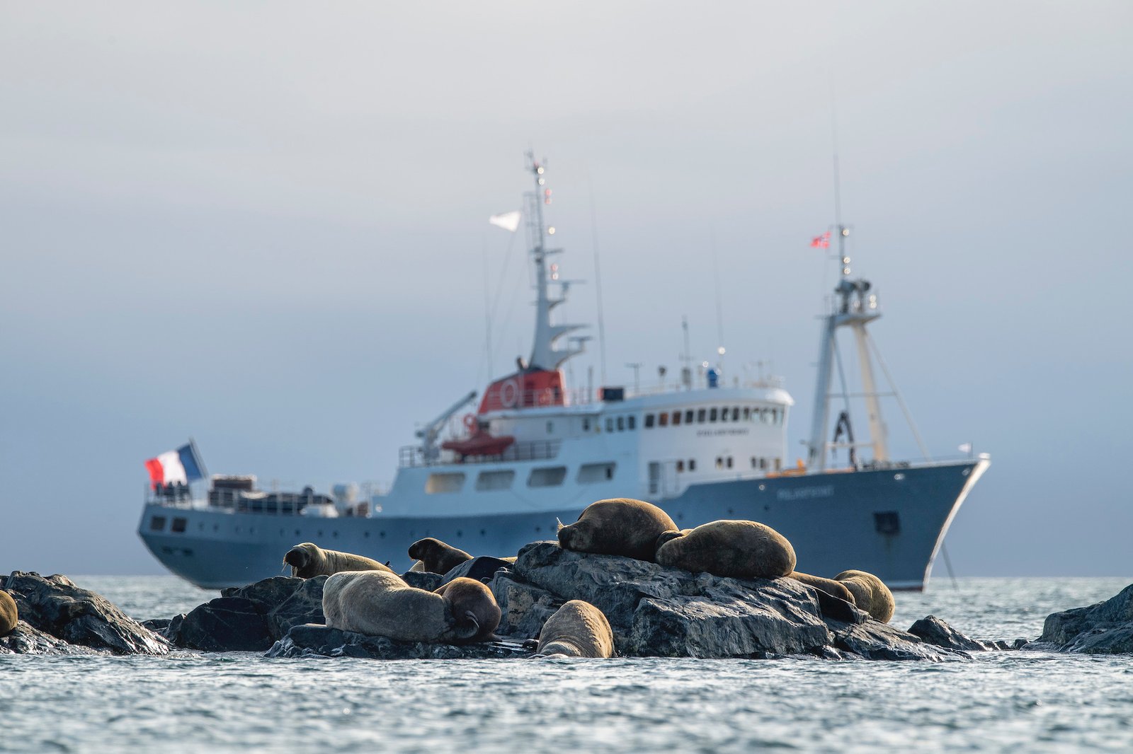 polarfront-latitudeblanche-1