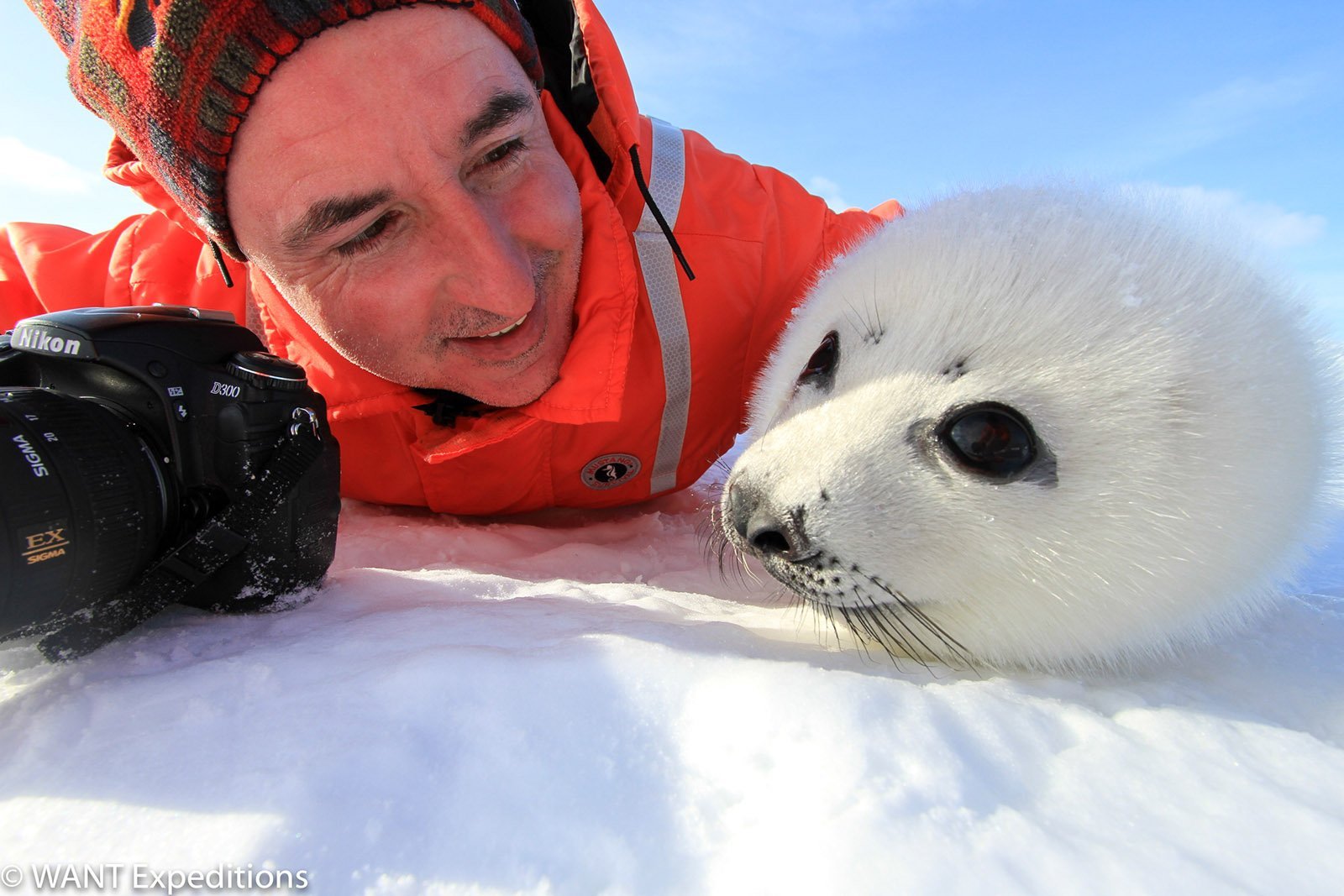 robbenbabysmagdalenisland-wantexpeditions-1