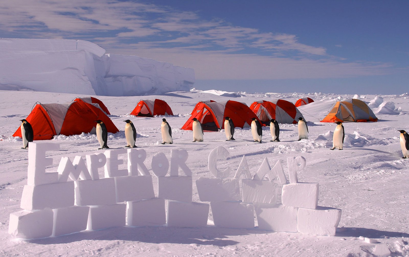 suedpolexchile-basislager-gouldbayemperorpenguincamp-antarcticlogisticsandexpedition-russhepburn-1
