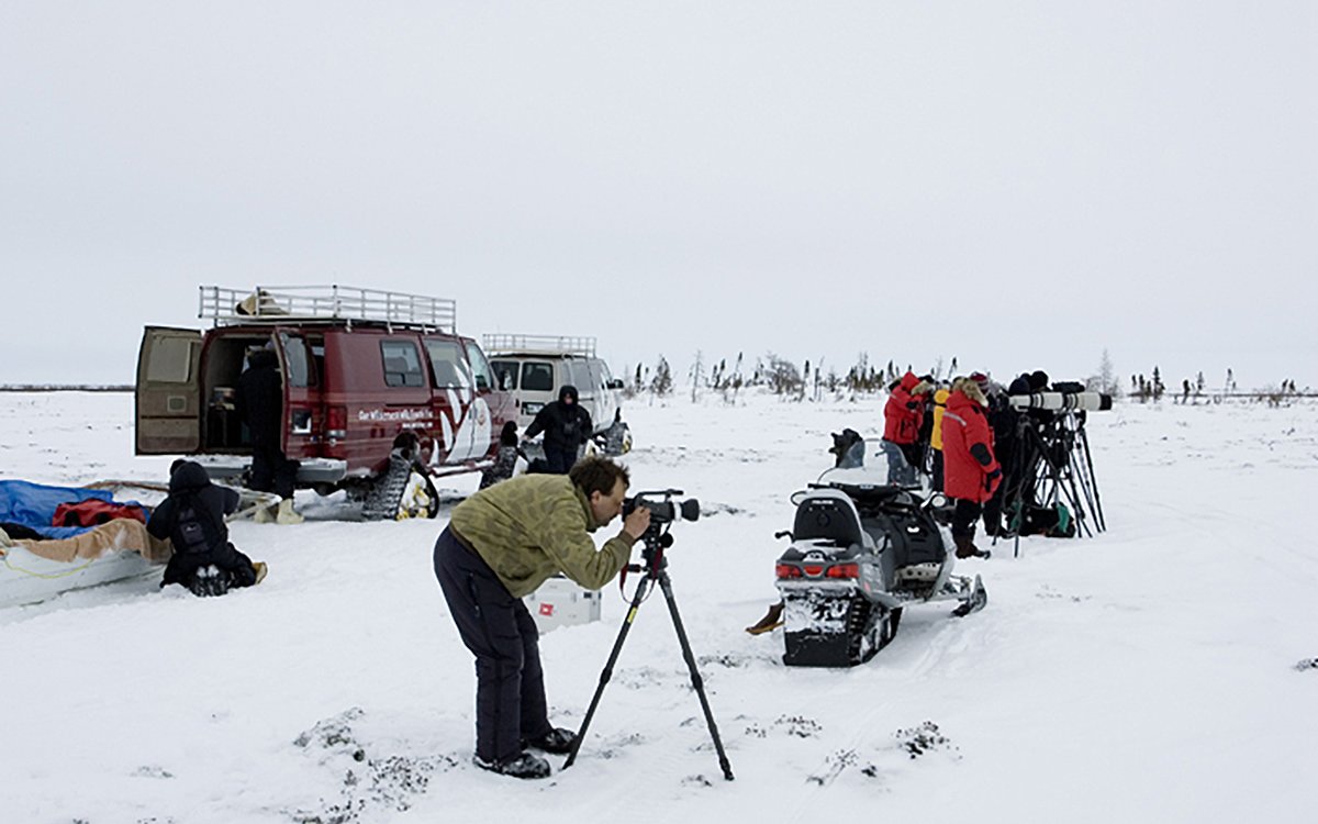 watcheelodge-watcheeexpeditions-4