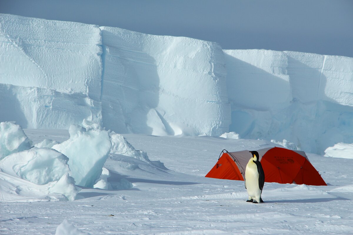 southpole-flights-camps-gould-bay-3-antarctic-logistics-expeditions-Russ-Hepburn
