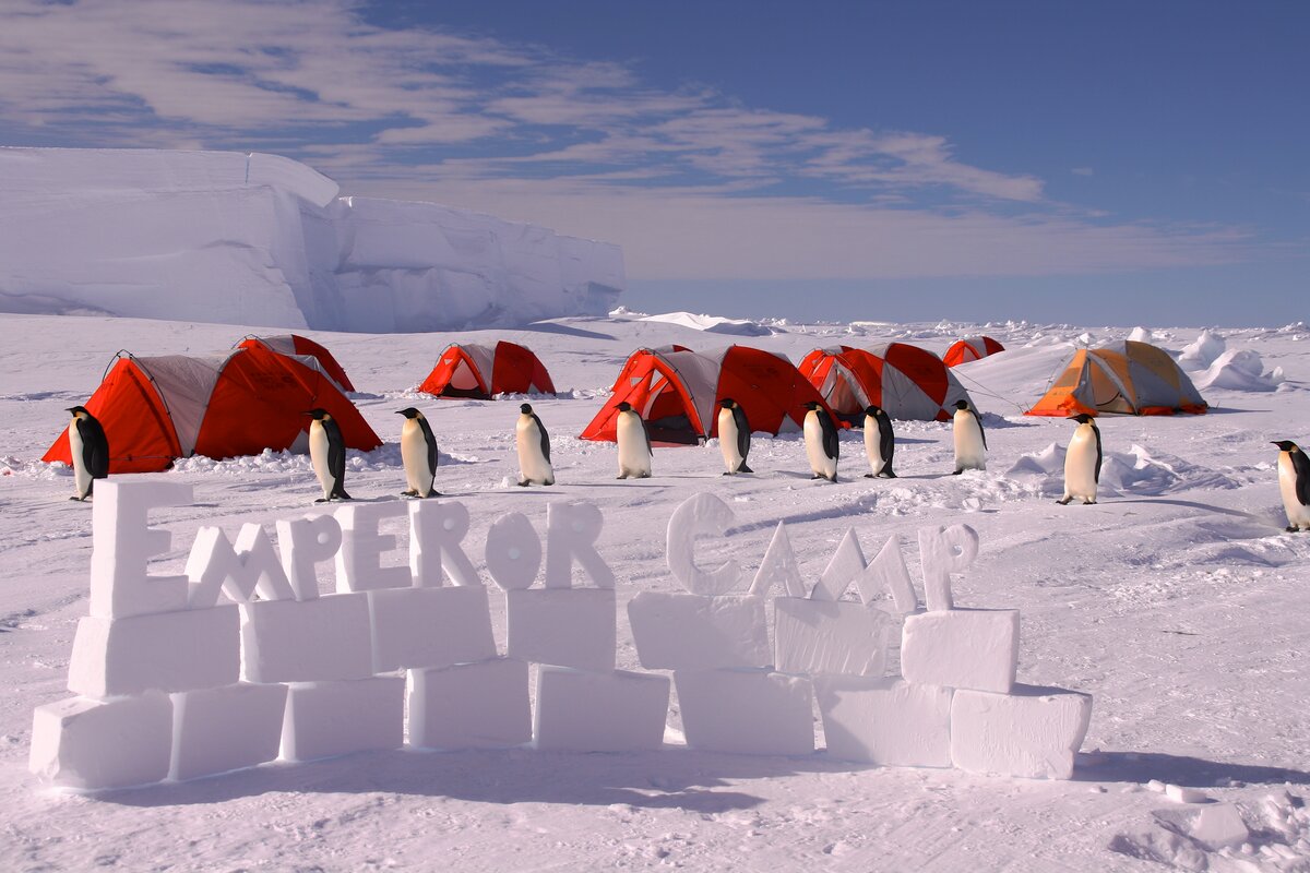 southpole-flights-camps-gould-bay-6-antarctic-logistics-expeditions-Russ-Hepburn