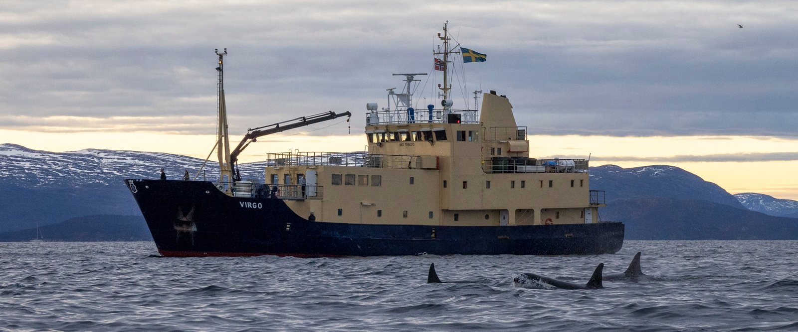 virgo-waterproofcruisesexpeditions