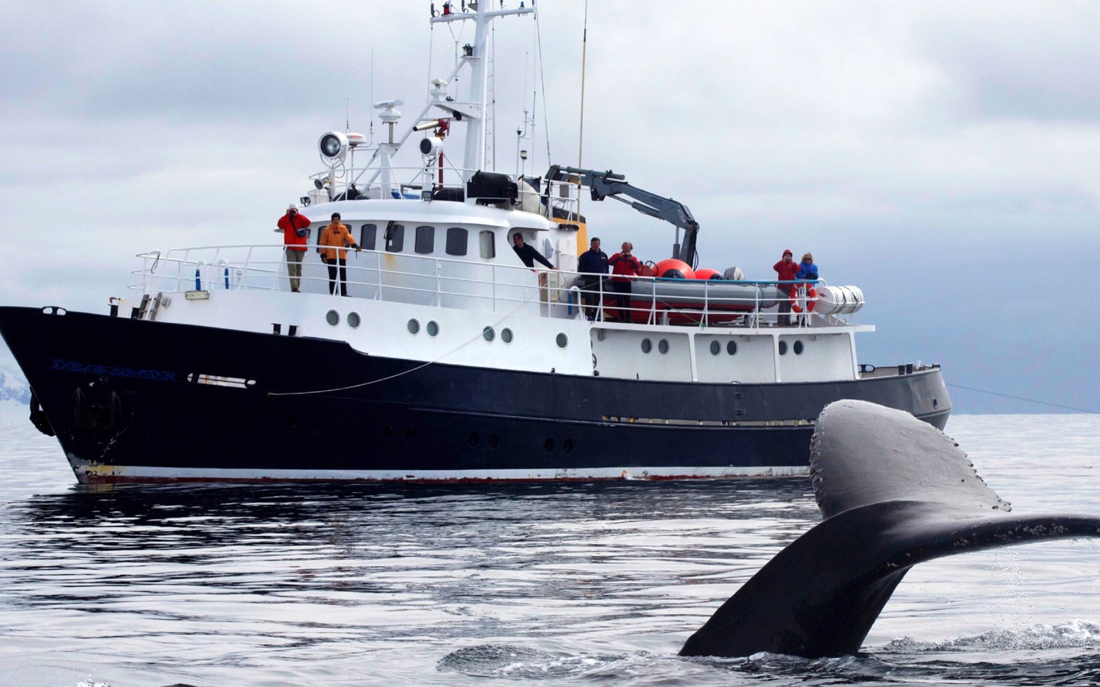 hanshansson-2-scaled