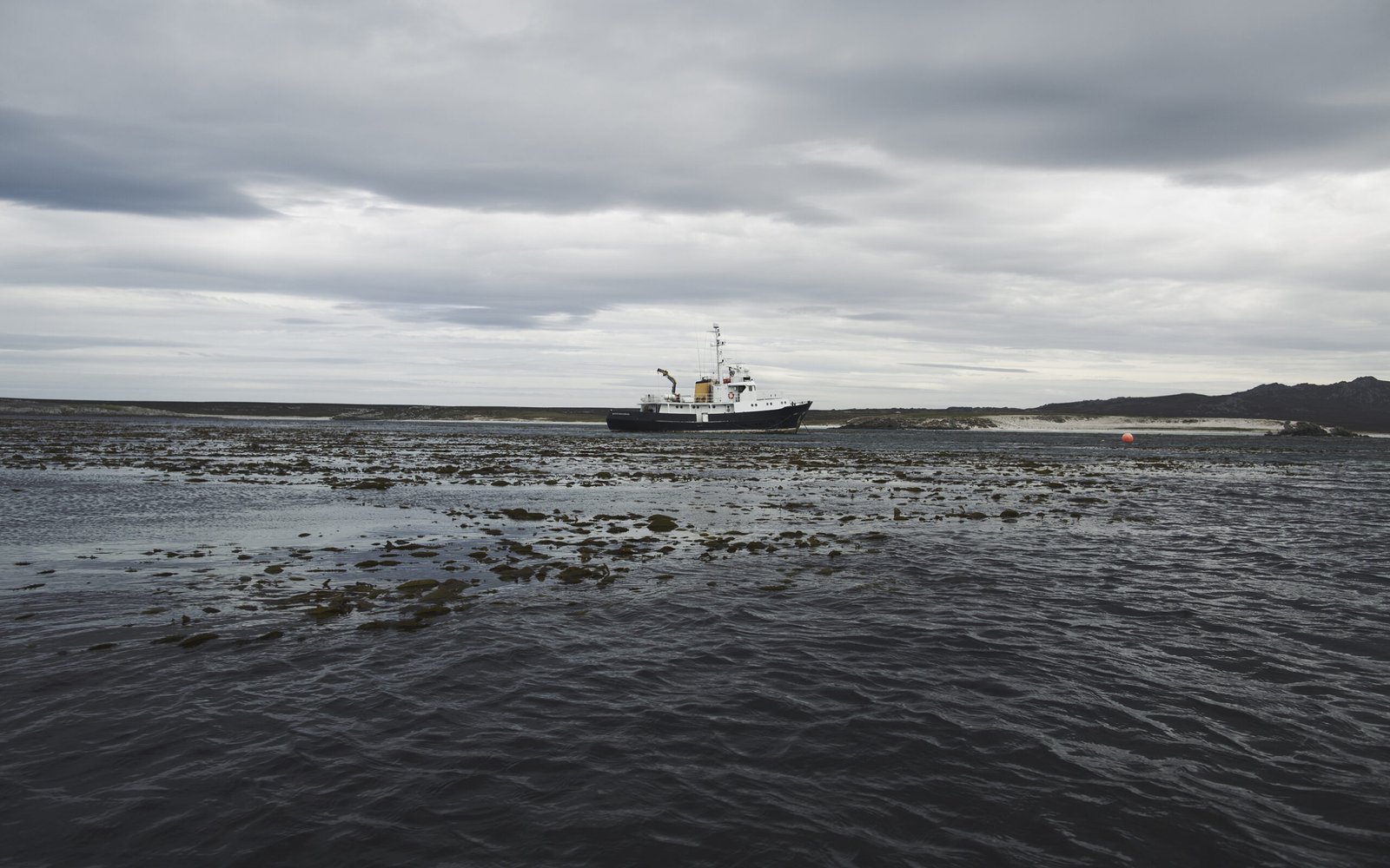 hanshansson-3-scaled