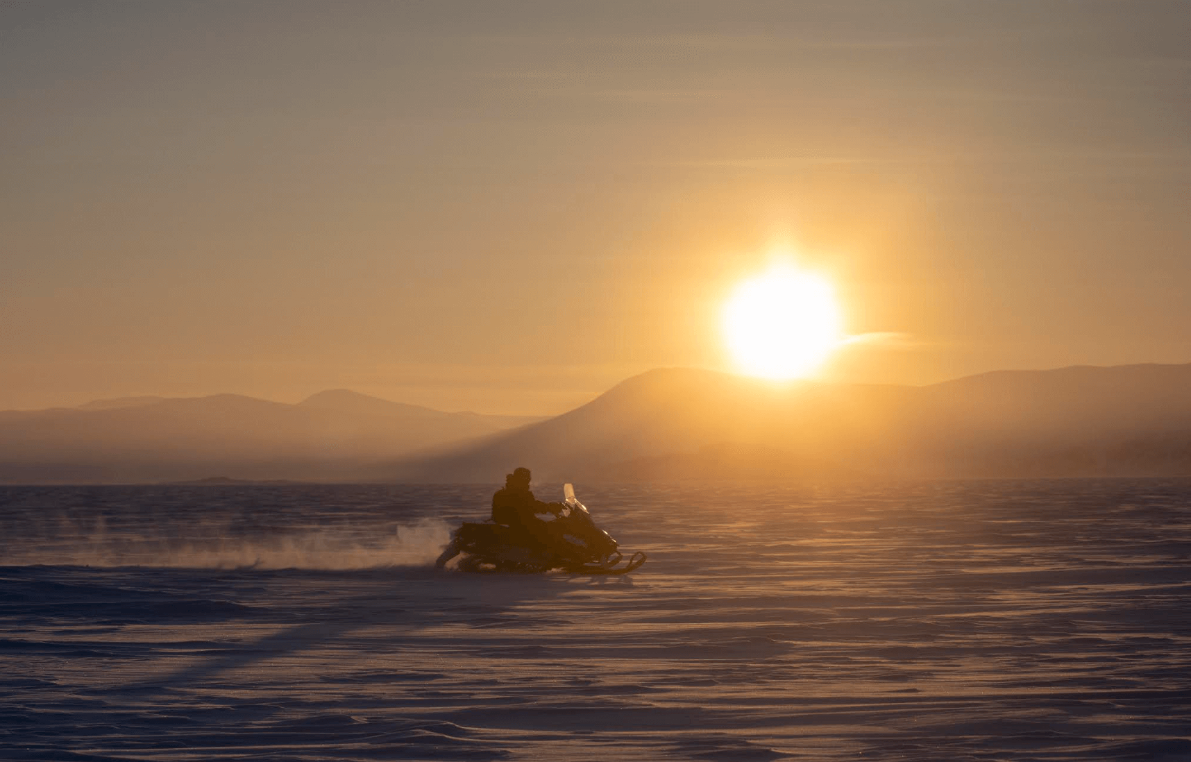 polarbaeren-beobachtung-fruehling-arctic-kingdom-6