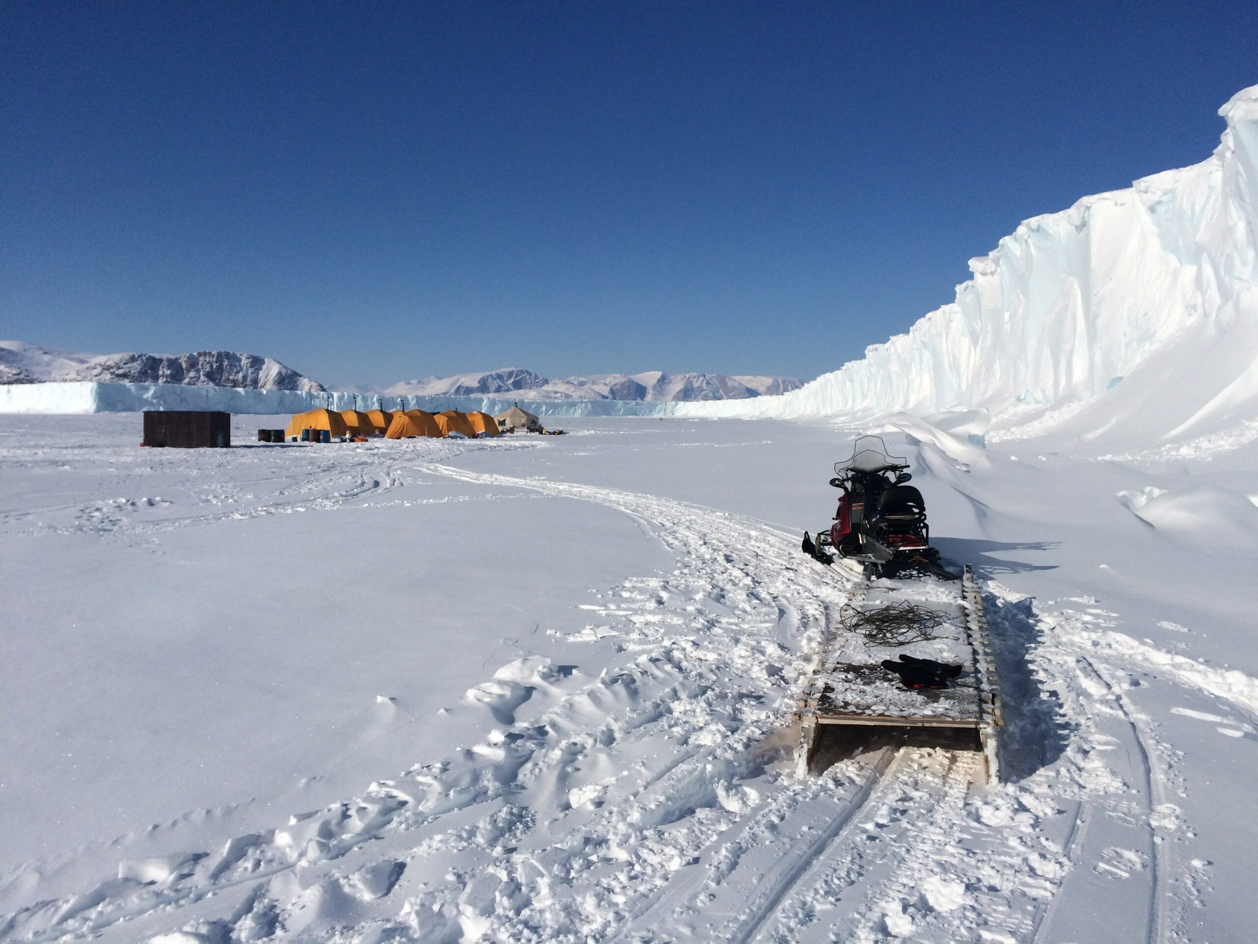 polarbaeren-beobachtung-fruehling-arctic-kingdom-2-scaled-1