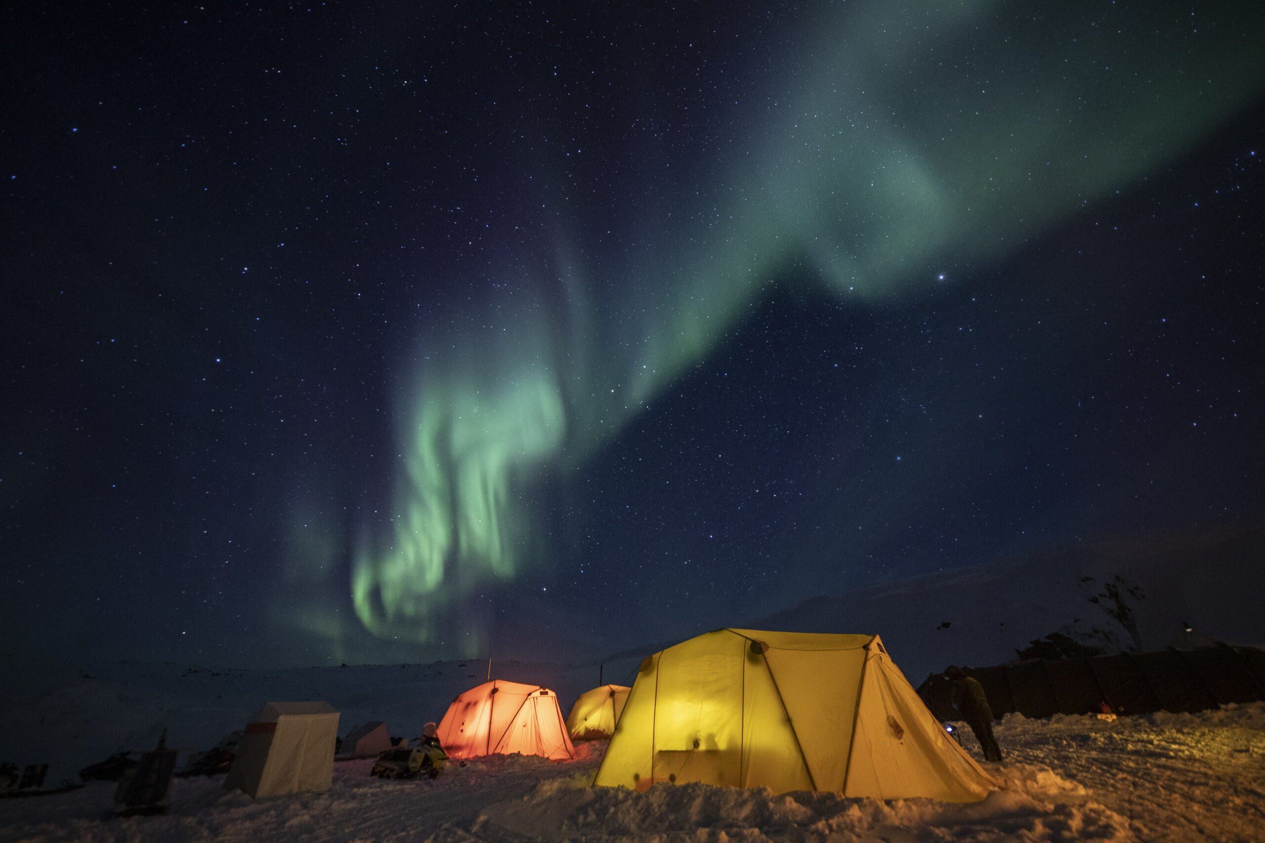 polarbaeren-beobachtung-fruehling-arctic-kingdom-Paul-Goldstein-scaled-1