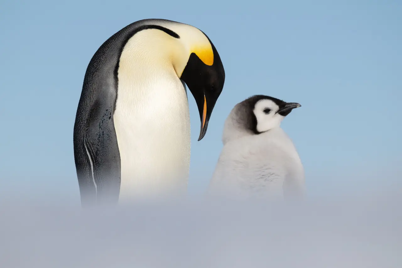 ultimaantarcticaexpeditions-emperors-mountains-1 (2)