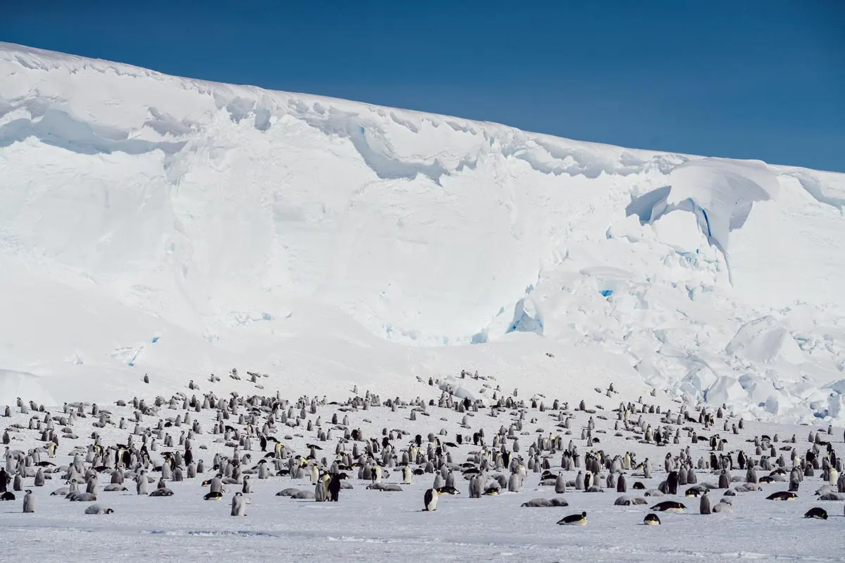 ultimaantarcticaexpeditions-emperors-mountains-4 (1)