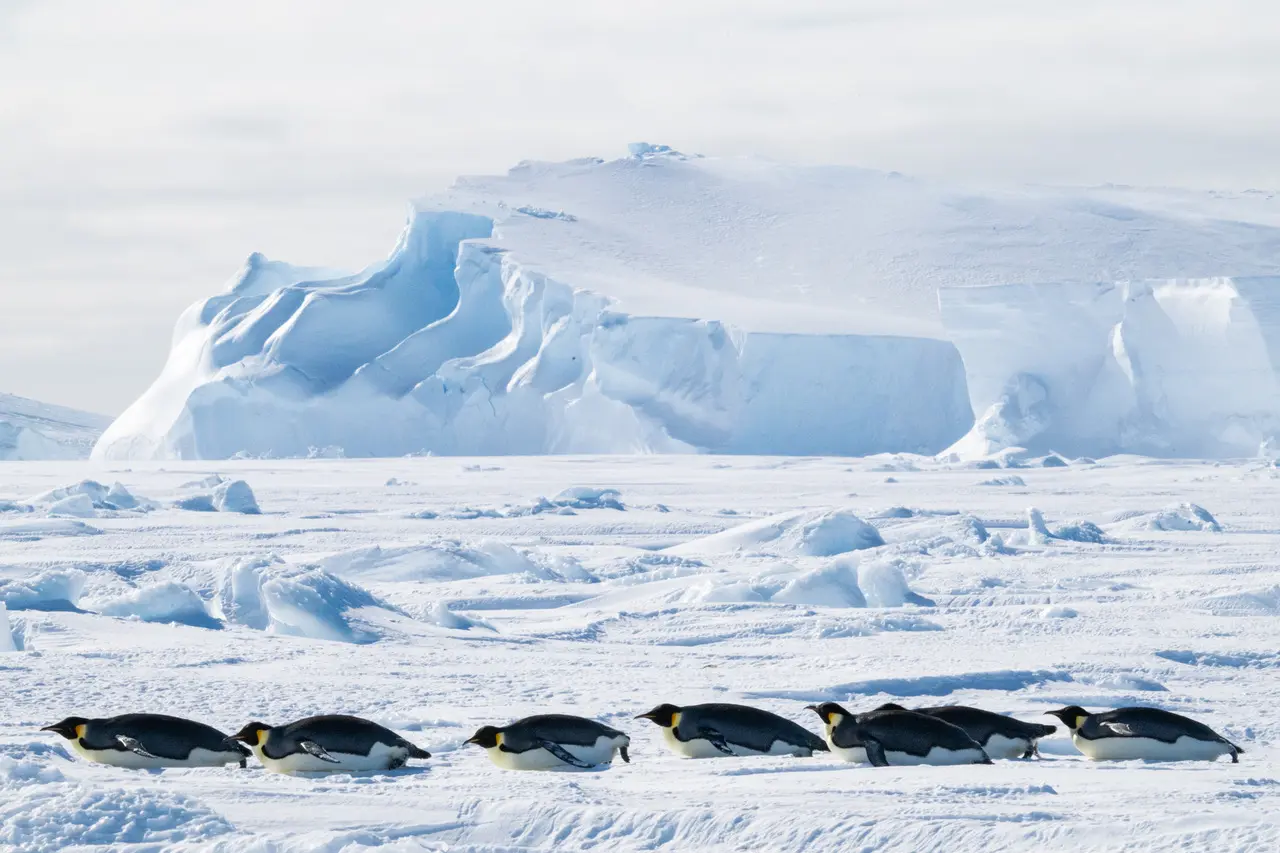 ultimaantarcticaexpeditions-southpole-7 (1)