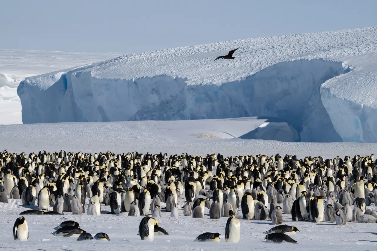 ultimaantarcticaexpeditions-southpole-8 (1)